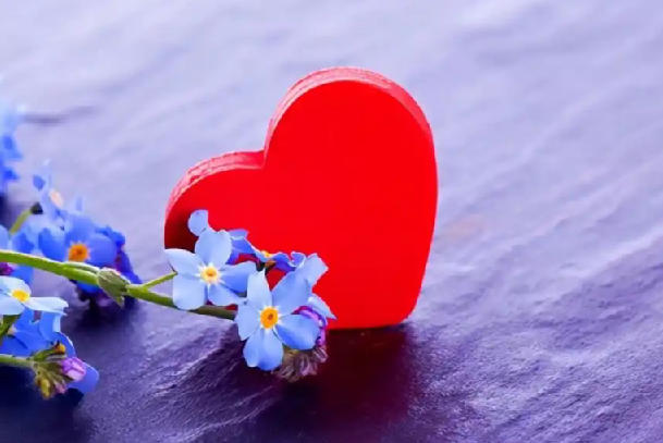 有道精品课《恋爱心理学》，科学解读亲密关系-稀缺资源网