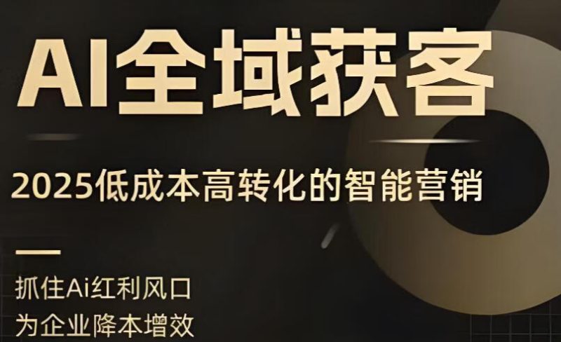 AI全域获客实训营，2025低成本高转化的智能营销，精准找客，高效营销-稀缺资源网